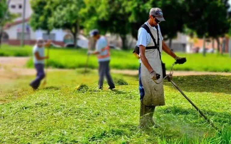 Limpeza de terrenos e manejo de árvores