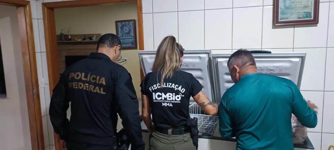 PF deflagra operação Entalhe contra crimes ambientais no Parque Nacional do Iguaçu