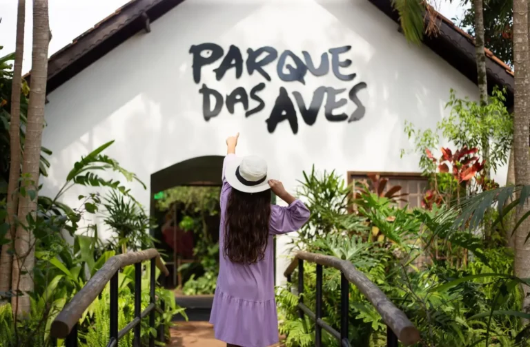 Nascimento inédito de perereca-rústica no Parque das Aves